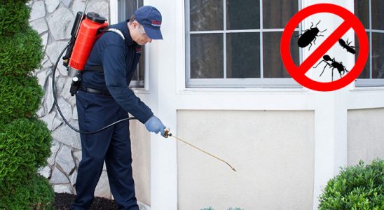 Beyağaç Böcek ve Haşere İlaçlama böcek ilaçlama ve haşere kontrolü — ilaclama-tr.com
